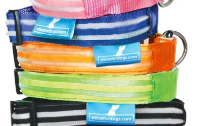 Shine For Dogs – LED Dog Collar