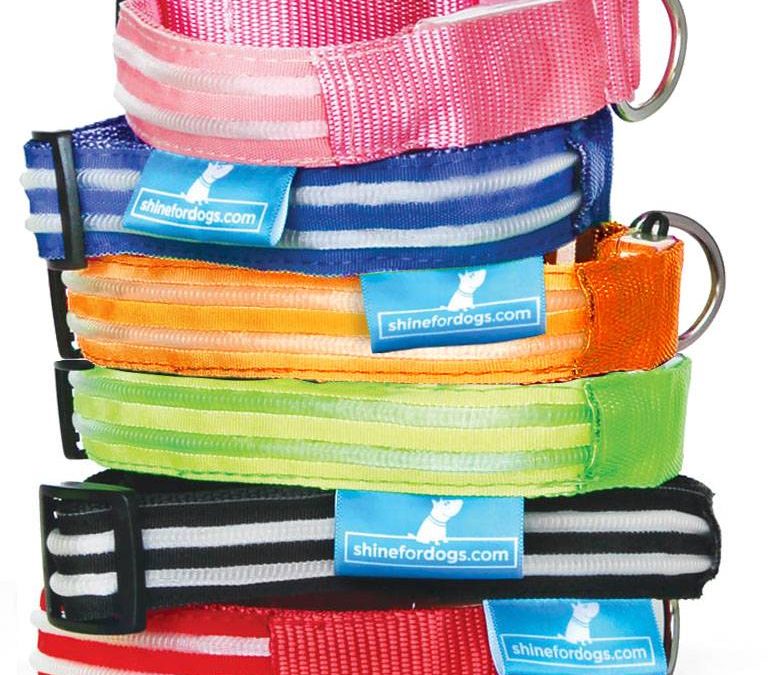Shine For Dogs – LED Dog Collar