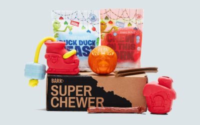 BarkBox Super Chewer