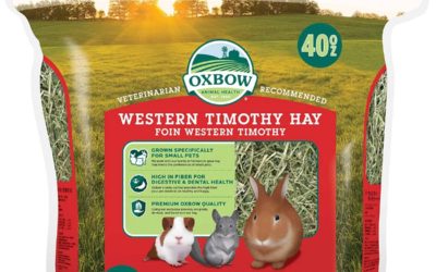 Oxbow Guinea Pig Food & Treats